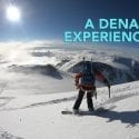 Denali Experience
