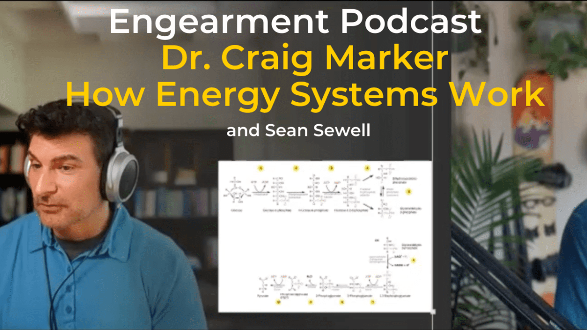 Dr. Craig Marker – How Your Energy Systems Really Work