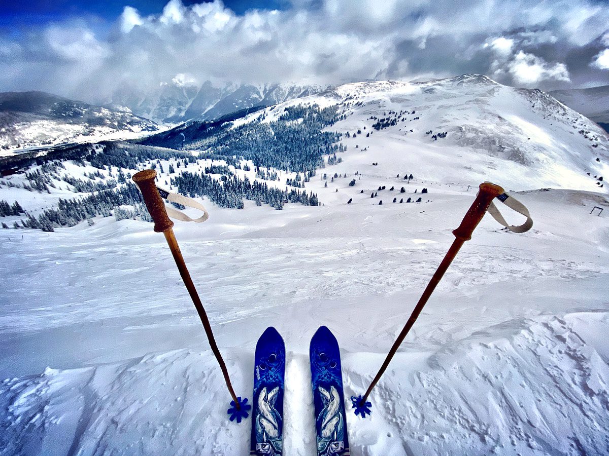 Grassticks Ski Poles - Michael Clemente of Engearment.com